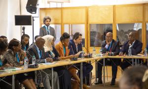 UNHA_BCRUP Side event Pictures