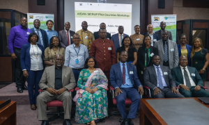 BCRUP member states pose for a photo during the AFDAN-BCRUP pilot countries workshop in Addis Ababa