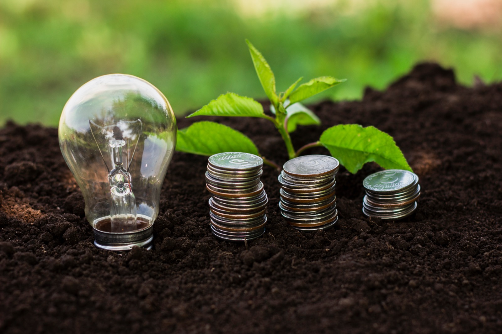 Scaling Up Green Financing for Climatic Resilience