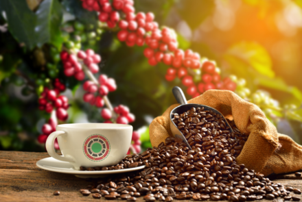 Kenya Coffee Exporters-EU Buyers Tour